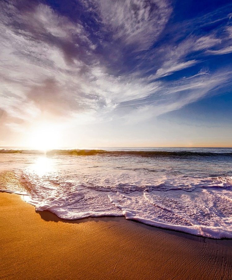 camping viareggio, campeggi viareggio, campeggio viareggio, camping village viareggio, viareggio camping, viareggio campeggi, viareggio campeggio, camping,viareggio