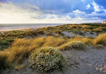 hotel a calambrone, villaggi tirrenia mare,  hotel mare pisa, livorno mare hotel, hotel sul mare livorno, mare di pisa, hotel livorno sul mare, hotel a livorno sul mare, livorno mare, pisa mare, hotel tirrenia sul mare, hotel calambrone, resort calambrone, dirottadanoi, hotel sul mare calambrone, hotel calambrone toscana